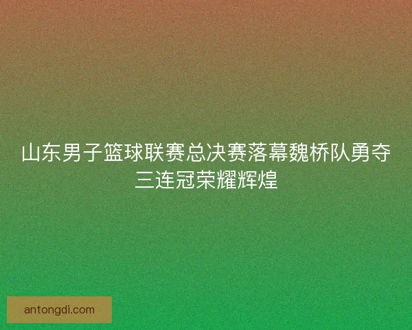 山东男子篮球联赛总决赛落幕魏桥队勇夺三连冠荣耀辉煌
