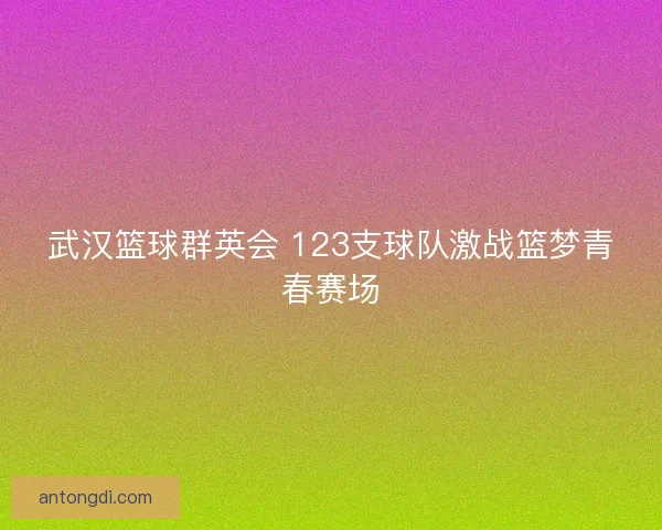 武汉篮球群英会 123支球队激战篮梦青春赛场 武汉篮球群英会 123支球队激战篮梦青春赛场